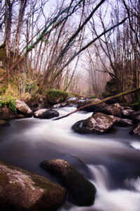 Rivière au coeur de la Dordogne