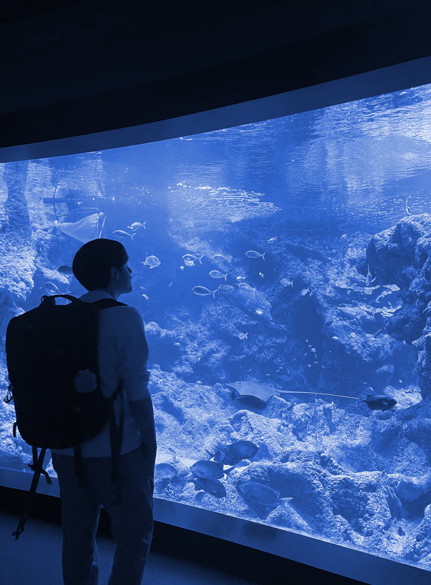 Portrait de dos d'Adrien Lagrange--Vergauwen devant un aquarium
